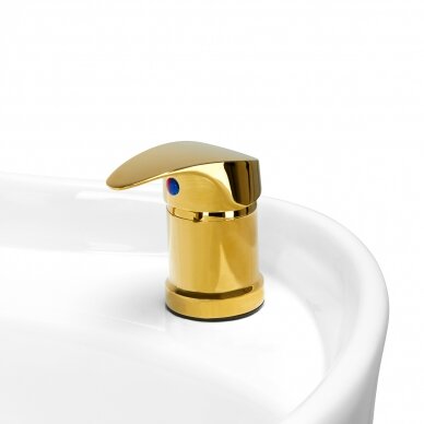 Hairdressing salon sink GABBIANO PROFESSIONAL HAIRWASHER BERLIN VERSAILE GOLD WHITE 8