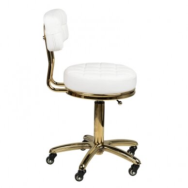 Kosmetologinė meistro kėdutė STOOL BEAUTY BACKREST AM-961 GOLD WHITE 2