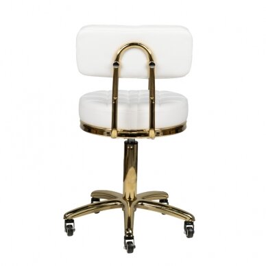 Kosmetologinė meistro kėdutė STOOL BEAUTY BACKREST AM-961 GOLD WHITE 3