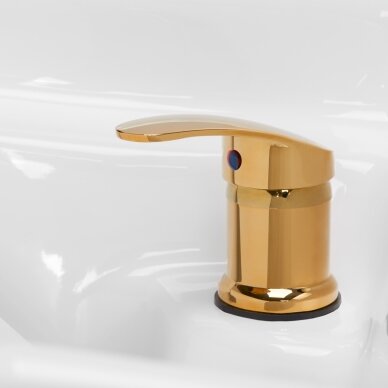 Hairdressing salon sink Gabbiano Diana Gold Black 7