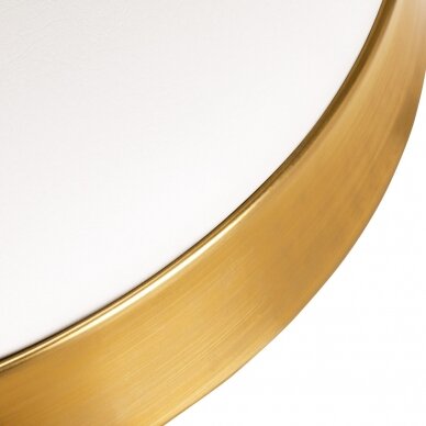 Kosmetologinė meistro kėdutė GREEK MODEL 1 WHITE GOLD 1