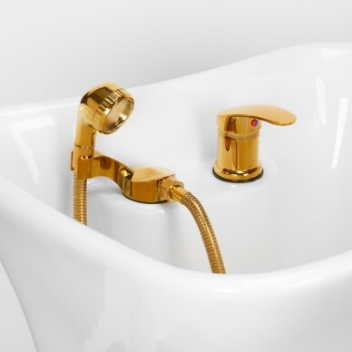 Hairdressing salon sink Gabbiano Diana Gold Black 10