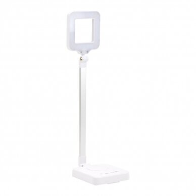 Desk lamp ELEGANTE 6W ADJUSTABLE 8