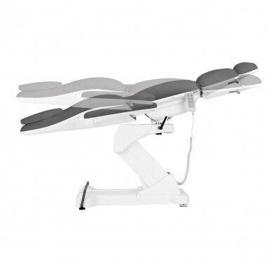 Cosmetology chair Sillon Basic Electric 3 Motors Professional Grey 5