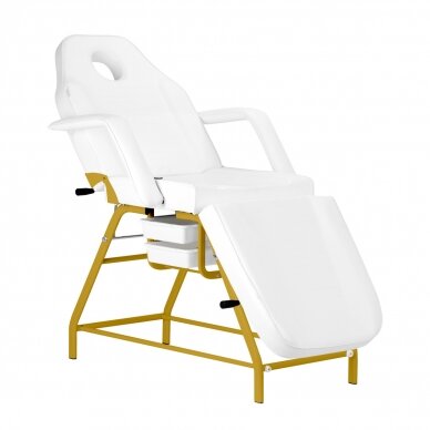 Cosmetology chair BEAUTY CHAIR 557G MODEL GOLD WHITE 1