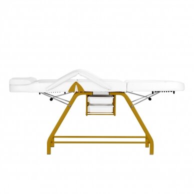 Kosmetologinis krėslas BEAUTY CHAIR 557G MODEL GOLD WHITE 7