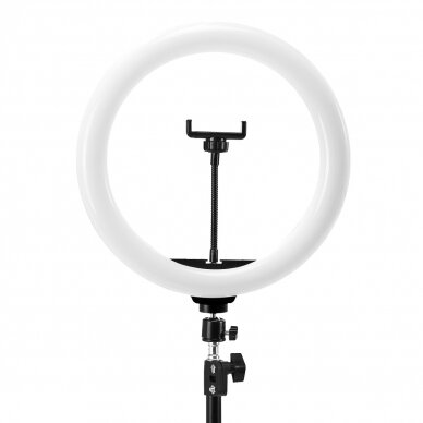 Kosmetologinė LED lempa makiažui su stovu GLOW RING LIGHT 13" 10W 3