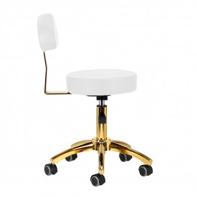 Kosmetologinė meistro kėdutė BEAUTY BACKREST ROUND GOLD WHITE 1