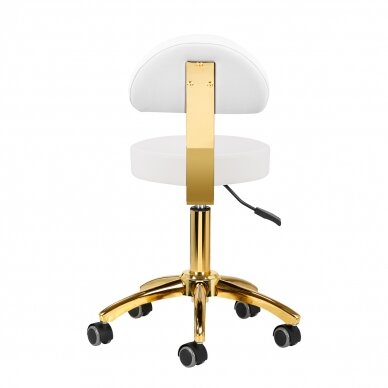 Kosmetologinė meistro kėdutė BEAUTY BACKREST ROUND GOLD WHITE 3