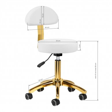 Kosmetologin jakkara STOOL BEAUTY BACKREST ROUND GOLD WHITE 6