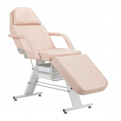 Cosmetology chair BASIC PINK