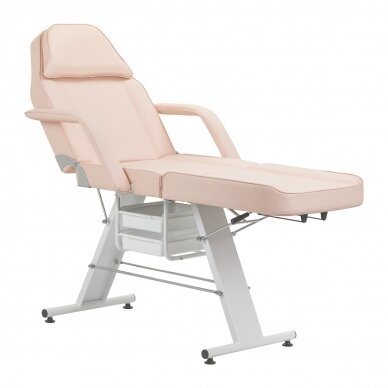 Cosmetology chair BASIC PINK 1