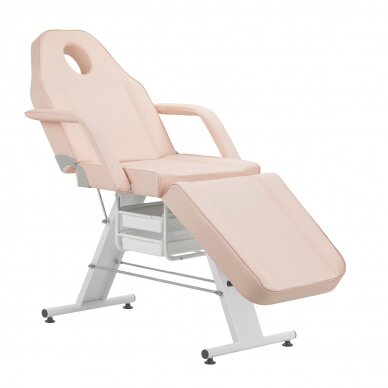 Cosmetology chair BASIC PINK 2