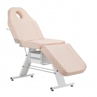 Cosmetology chair BASIC PINK 3