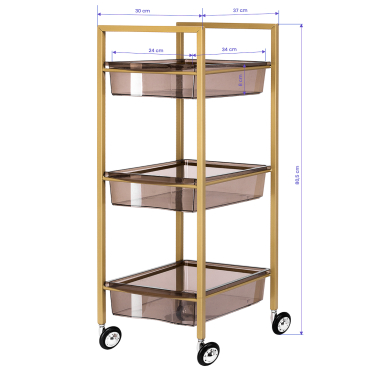 Cosmetology trolley 93 Gold 4