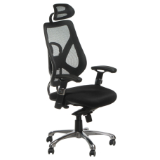 Ergonomic office chair CorpoComfort BX-W4310 Black