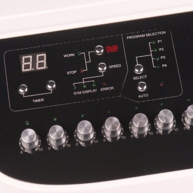 Elektrostimulationsgerät PROFESSIONAL MULTI-FUNCTIONAL SLIMMING INSTRUMENT 2