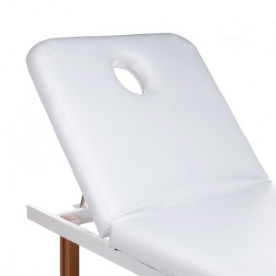 Stationary massage table PRO 8420 (White) 2