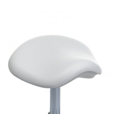 Kosmetologinė meistro kėdutė Medical Stool BD-Y913 White 1