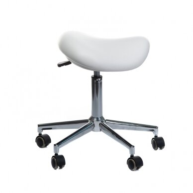 Kosmetologinė meistro kėdutė Medical Stool BD-Y913 White 2