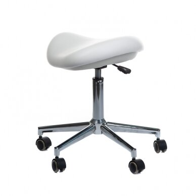 Kosmetikerin Hocker Medical Stool BD-Y913 White 3