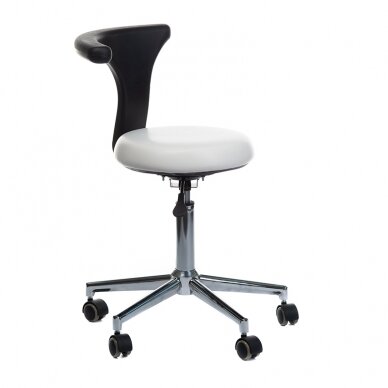 Kosmetologi jakkara COSMETIC PROFESSIONAL BEAUTY STOOL BDY915 WHITE