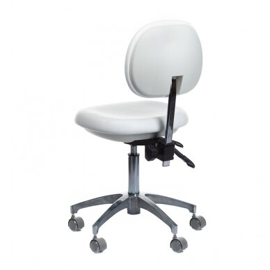 Kosmetoloogiline stool Medical Stool BD-Y941 White 4