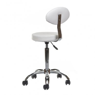 Kosmetologinė meistro kėdutė COSMETIC BEAUTY STOOL PRACTIC WHITE 3