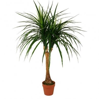 Mākslīgais augs Dracena 120cm