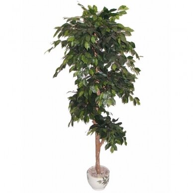 Kunstpflanze Ficus PLY 180cm