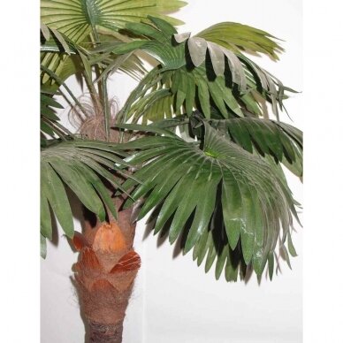 Künstliche Pflanze Palme ALTO 210cm 1