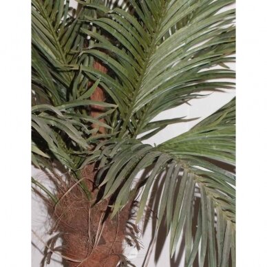 Keinotekoinen kasvi Palm 180cm 1