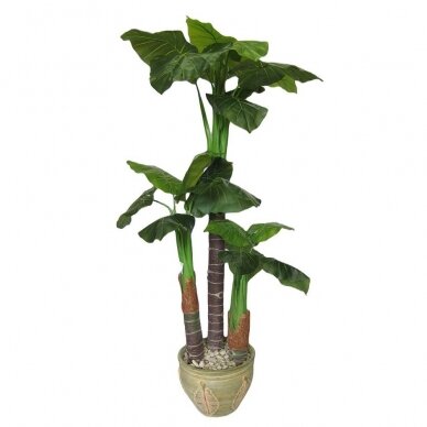 Artificial plant Taro 170cm