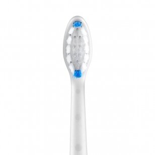 Electric Toothbrush Cleaning Head Silk'n SonicYou Medium White (2 pcs.)