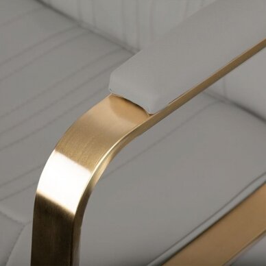 Juuksuritool HAIR SYSTEM HAIRDRESSING CHAIR ACRI BIEGE GOLD 4