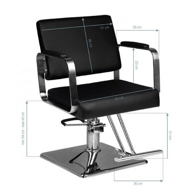 Hairdressing chair Hair System 202 Black 4