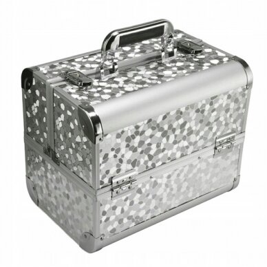 Cosmetics case Professional Style XL Silver